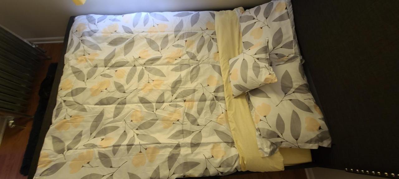 שיקגו Cozy 1 Bedroom, 1 Min From Irving Park Blue Line, Free Parking מראה חיצוני תמונה